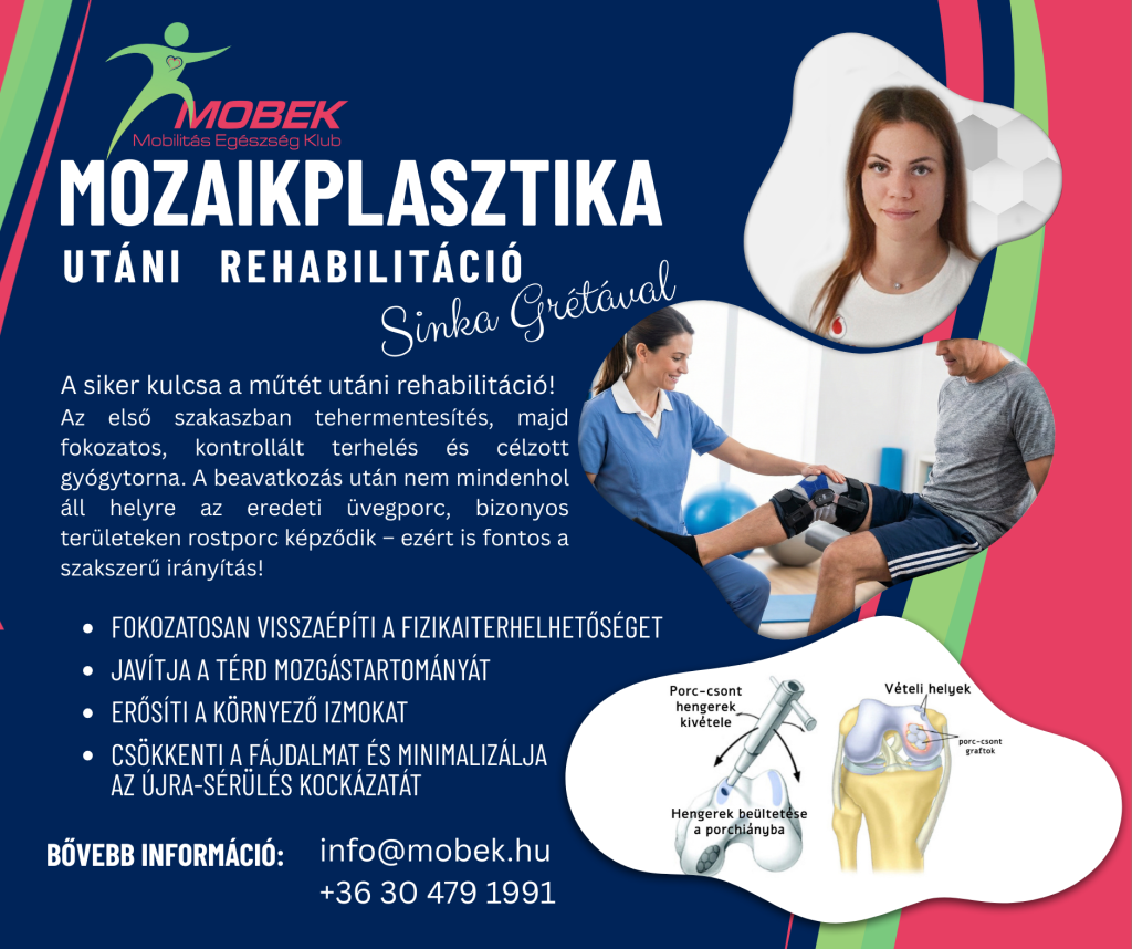 Mozaikplasztika rehabilitáció